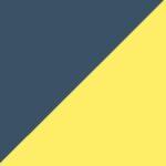 Gris foncé et jaune
