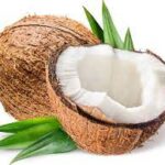 Coconut