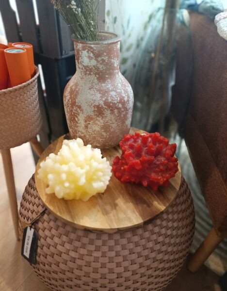 Coral Vegetal Candle - Image 2
