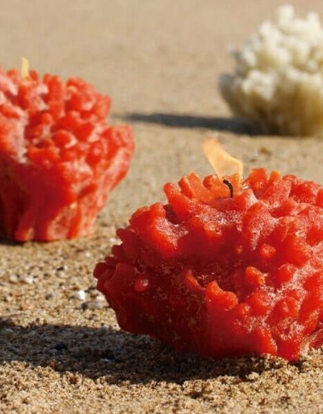 Coral Vegetal Candle