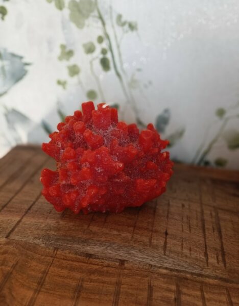 Coral Vegetal Candle - Image 3
