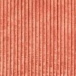 Corail